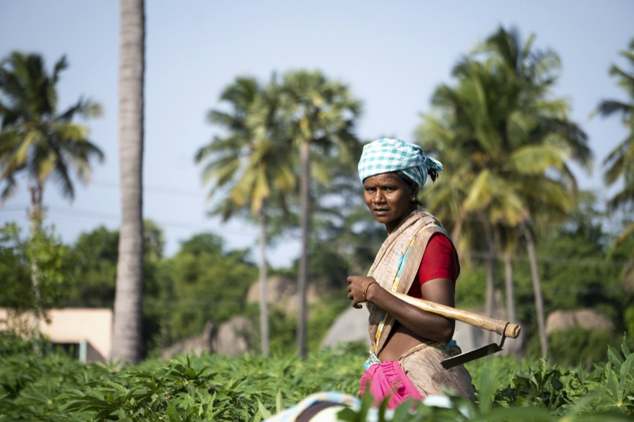 A girl in a red and white dress sitting on a wooden fence in a Tamil Nadu village