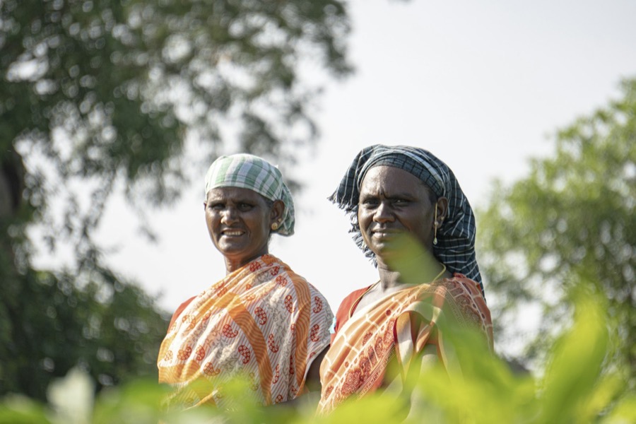 Two farm workers in saris standing in a field in Tamil Nadu