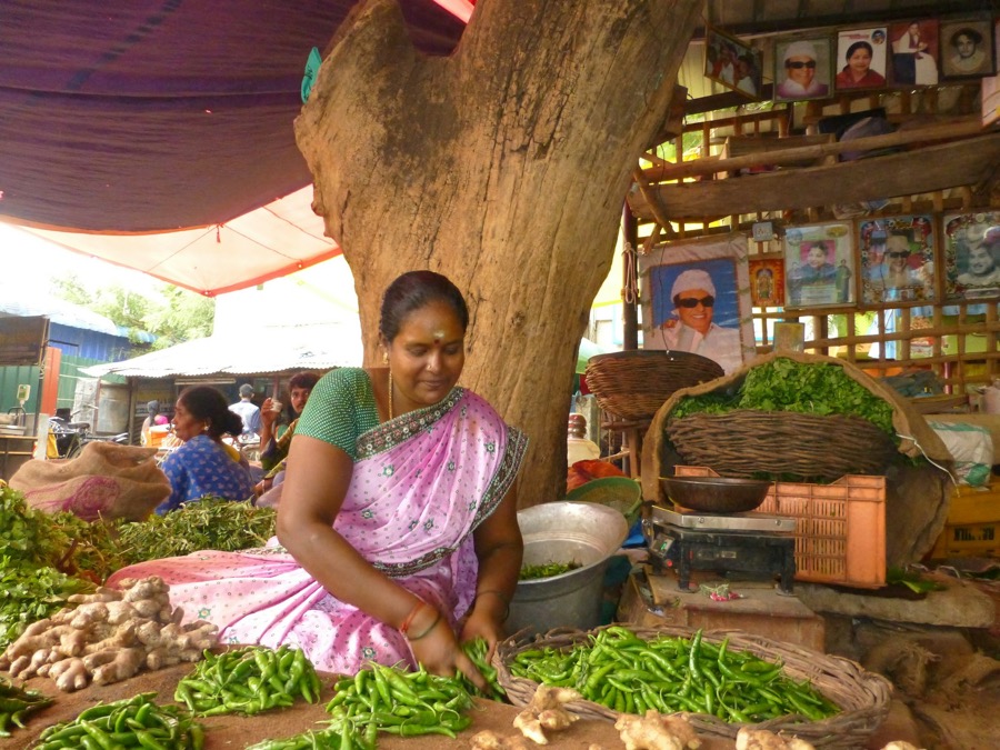 A woman selling vegetables at a small roadside stall in Tamil Nadu